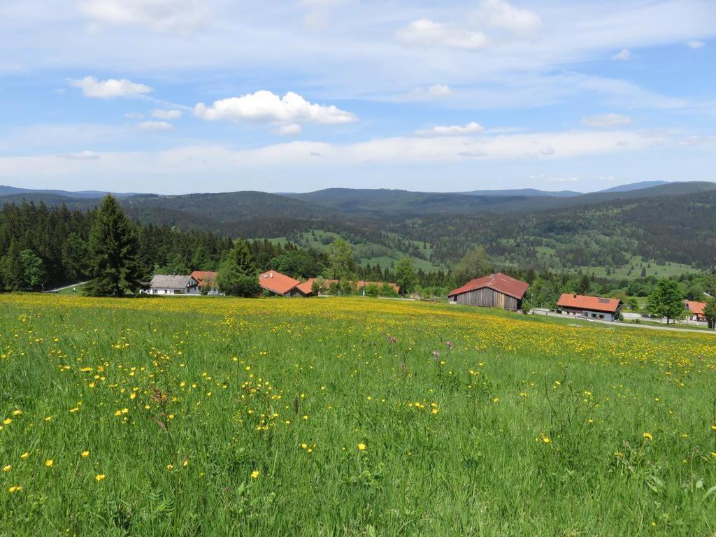 2 Zimmer Mitterdorf Philippsreut Eksteriør billede